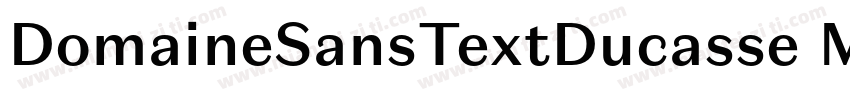 DomaineSansTextDucasse Medium字体转换